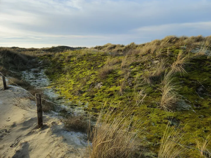 Oostnieuwkerke duinen wandeling in de koude (België)